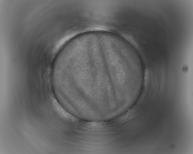 X0000113631404200910091544