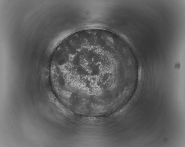 X0000113631405200910091544