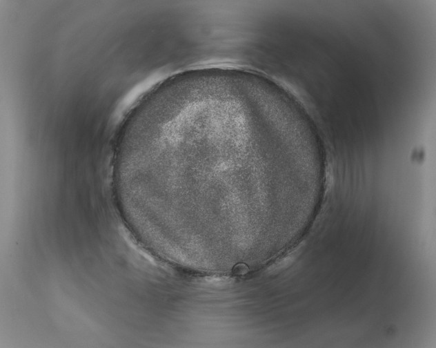 X0000113631406200910091544