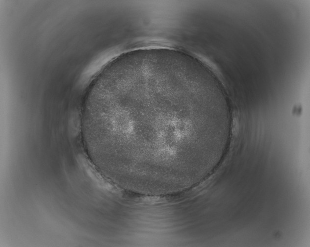 X0000113631407200910091544