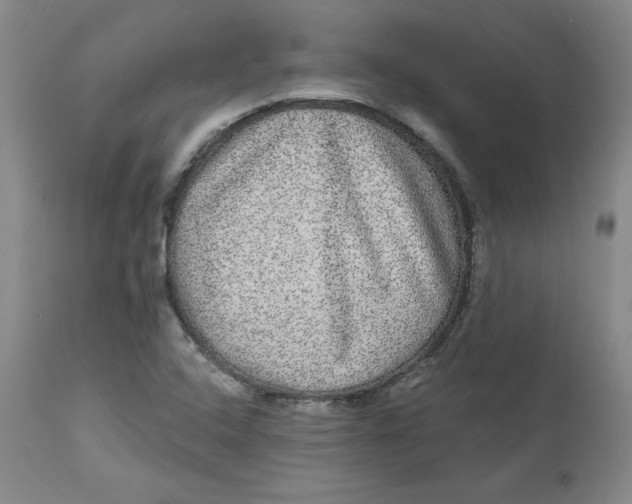 X0000113631408200910091544