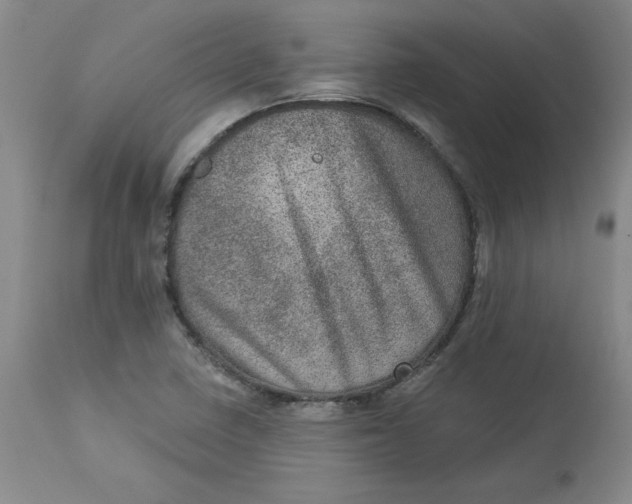 X0000113631410200910091544