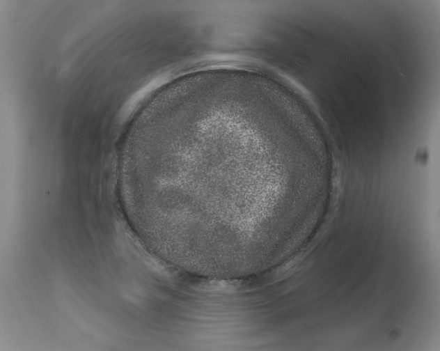 X0000113631411200910091544