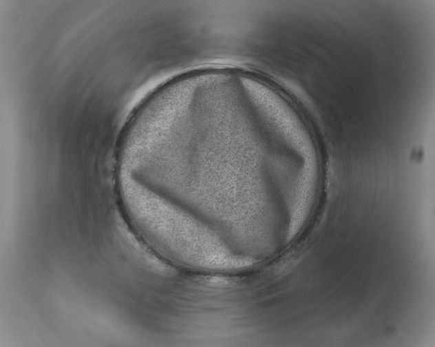 X0000113631412200910091544
