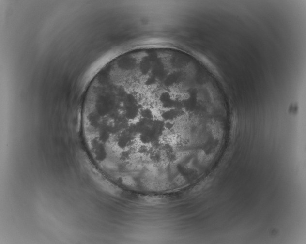 X0000113631413200910091544