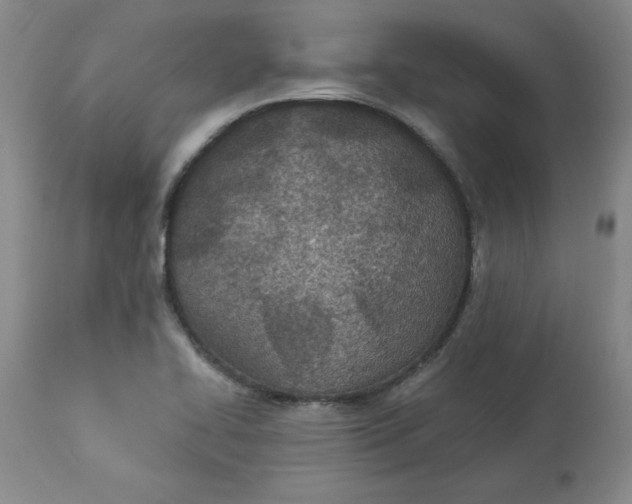 X0000113631414200910091544