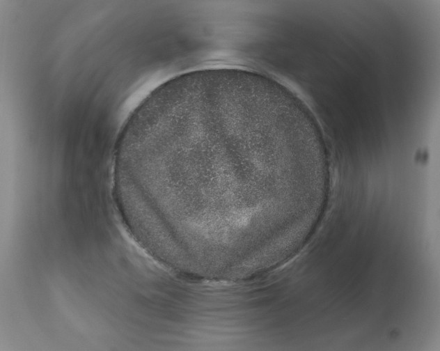 X0000113631415200910091544