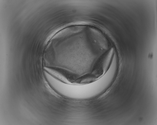 X0000113631417200910091544
