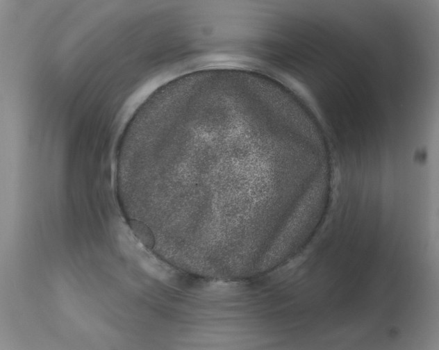 X0000113631419200910091544