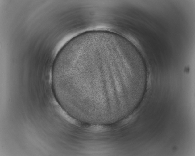 X0000113631420200910091544