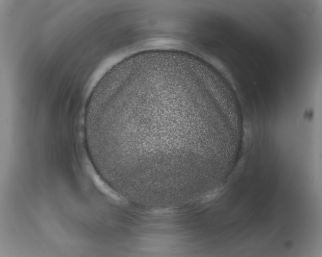 X0000113631421200910091544