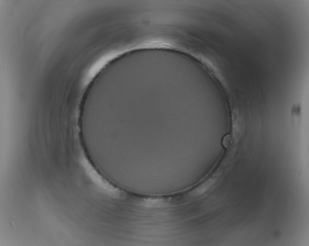 X0000113631422200910091545