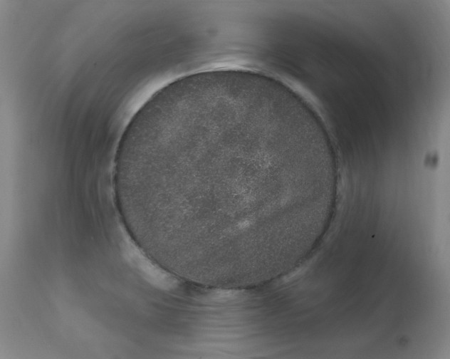 X0000113631423200910091545