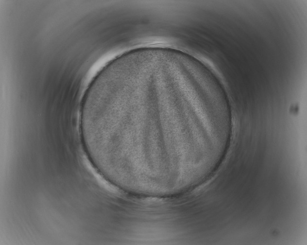 X0000113631424200910091545