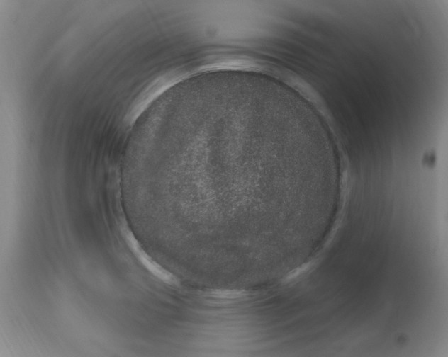 X0000113631425200910091545