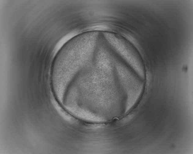 X0000113631426200910091545