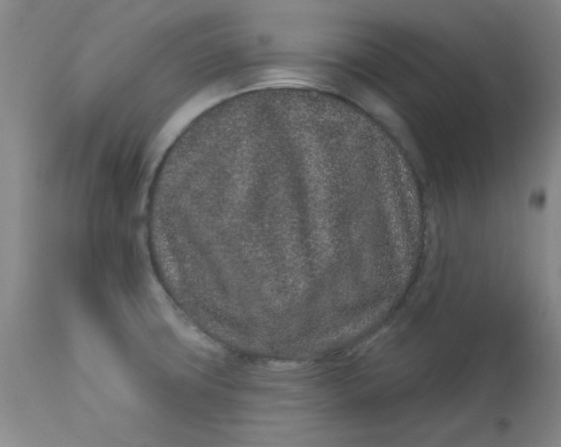 X0000113631427200910091545
