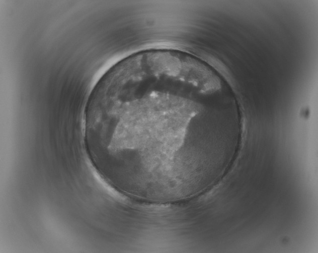 X0000113631428200910091545