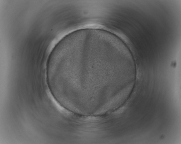 X0000113631430200910091545