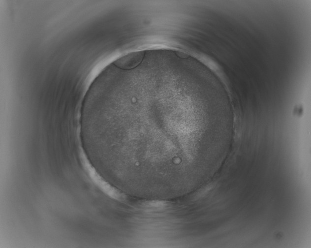 X0000113631431200910091545