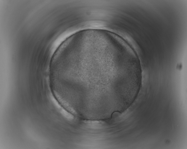 X0000113631432200910091545