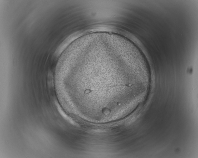 X0000113631433200910091545
