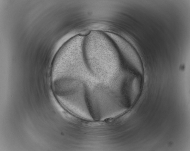 X0000113631434200910091545