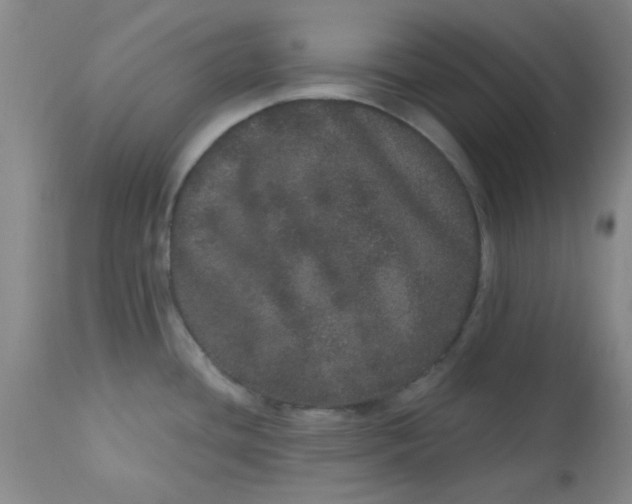 X0000113631436200910091545
