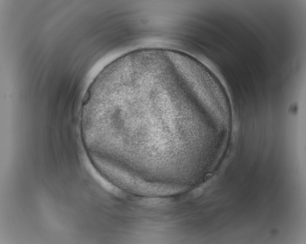 X0000113631437200910091545
