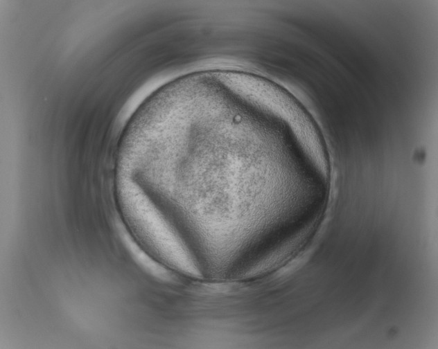 X0000113631438200910091545