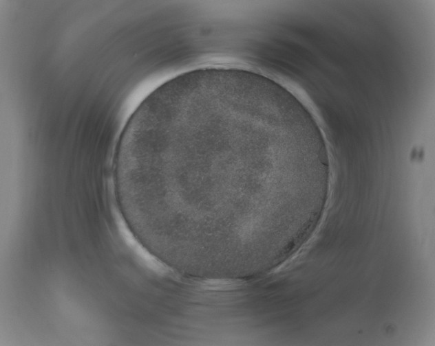 X0000113631440200910091545