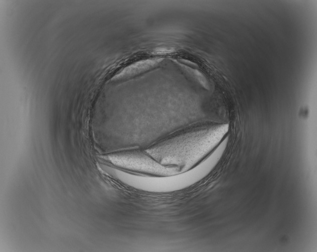 X0000113631441200910091544