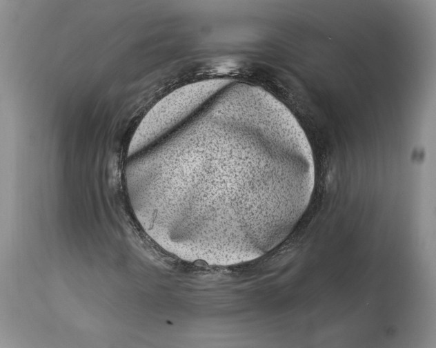 X0000113631442200910091544