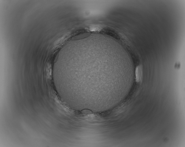 X0000113631443200910091544