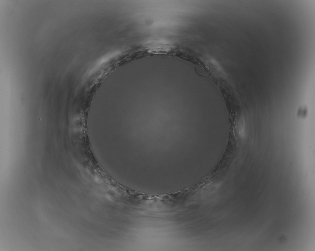 X0000113631445200910091544