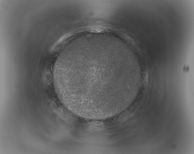 X0000113631446200910091544