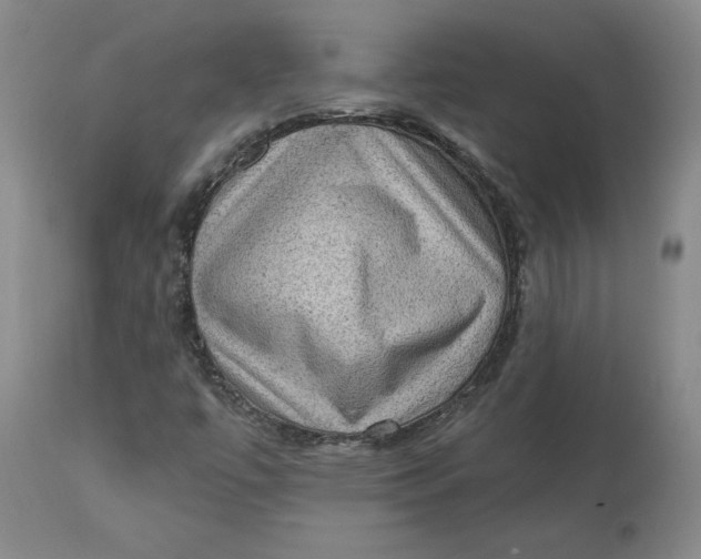 X0000113631447200910091544
