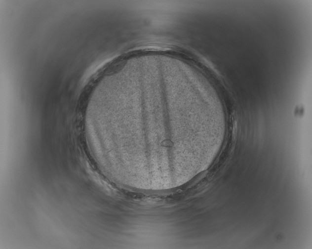 X0000113631448200910091544
