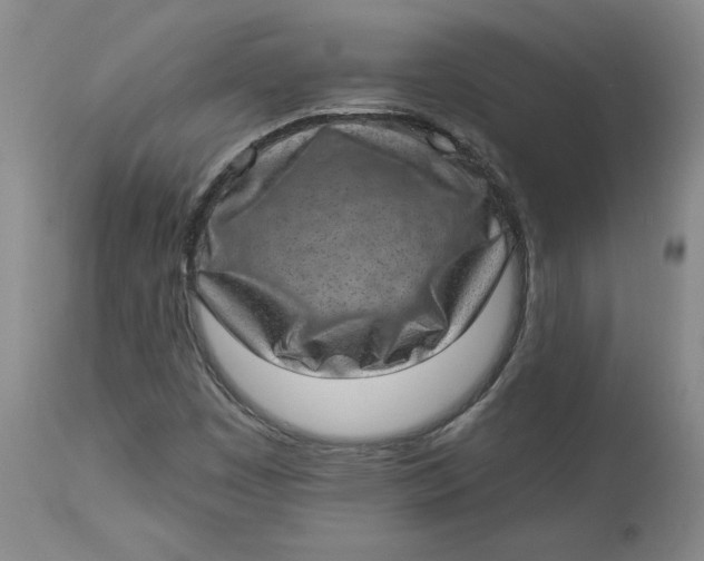 X0000113631449200910091544