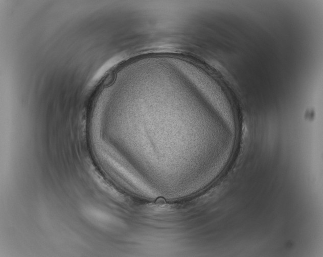 X0000113631450200910091544