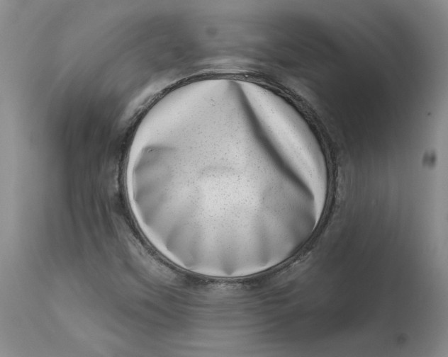 X0000113631451200910091544