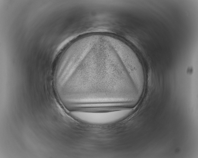 X0000113631452200910091544