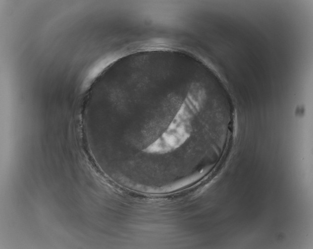 X0000113631453200910091544
