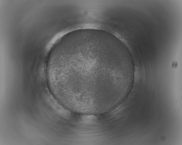X0000113631454200910091544