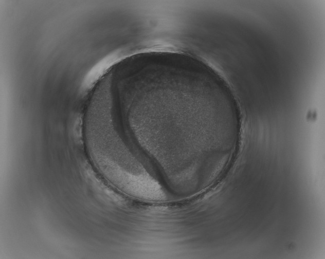 X0000113631455200910091544
