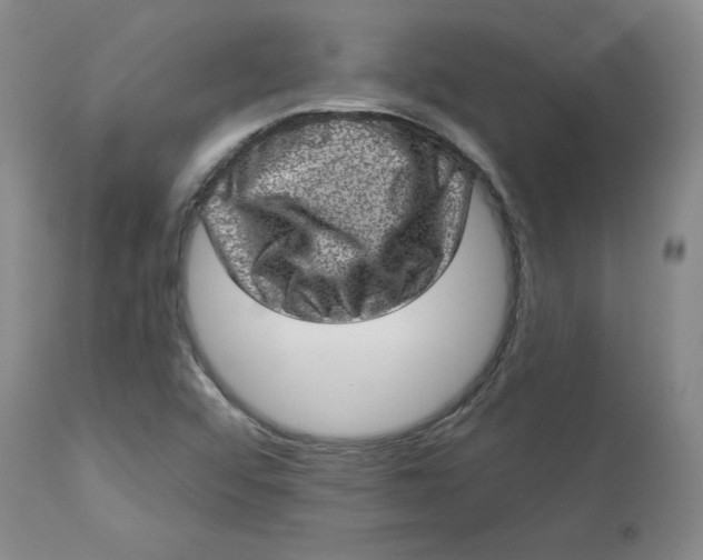 X0000113631456200910091544