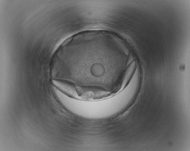 X0000113631457200910091544