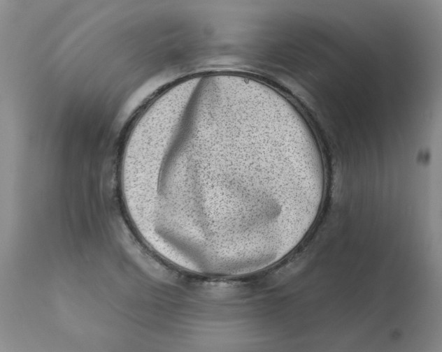 X0000113631458200910091544