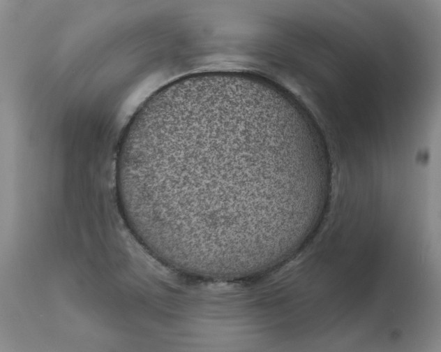 X0000113631459200910091544