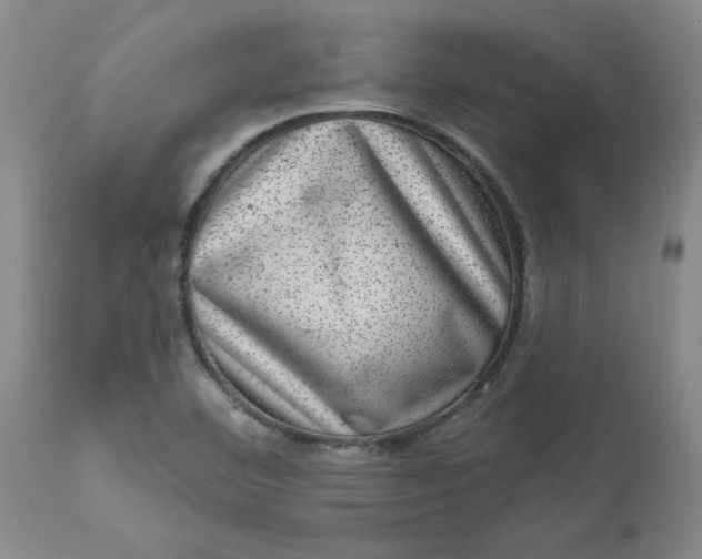 X0000113631460200910091544